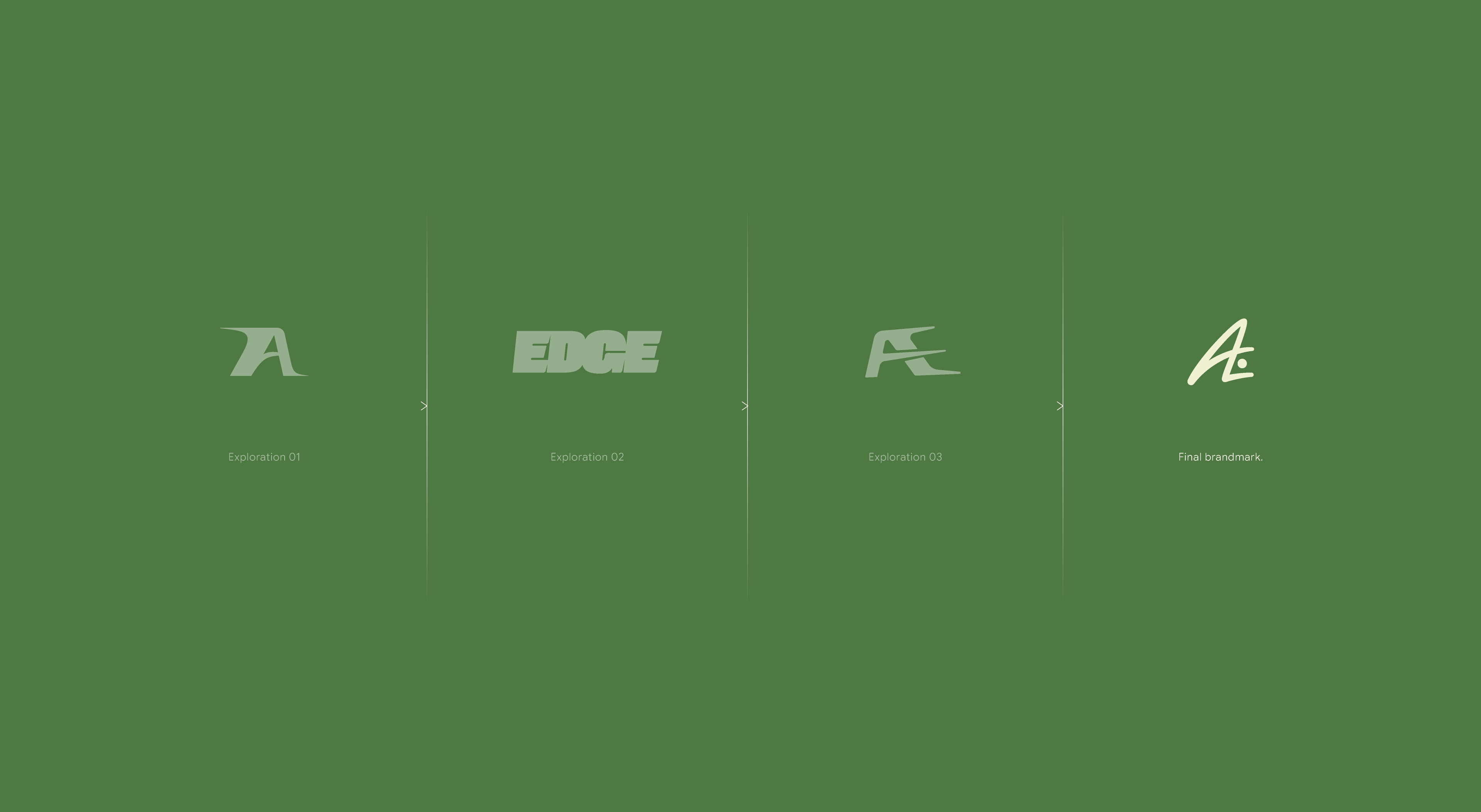 AEP_Logo-Evolution_01v1