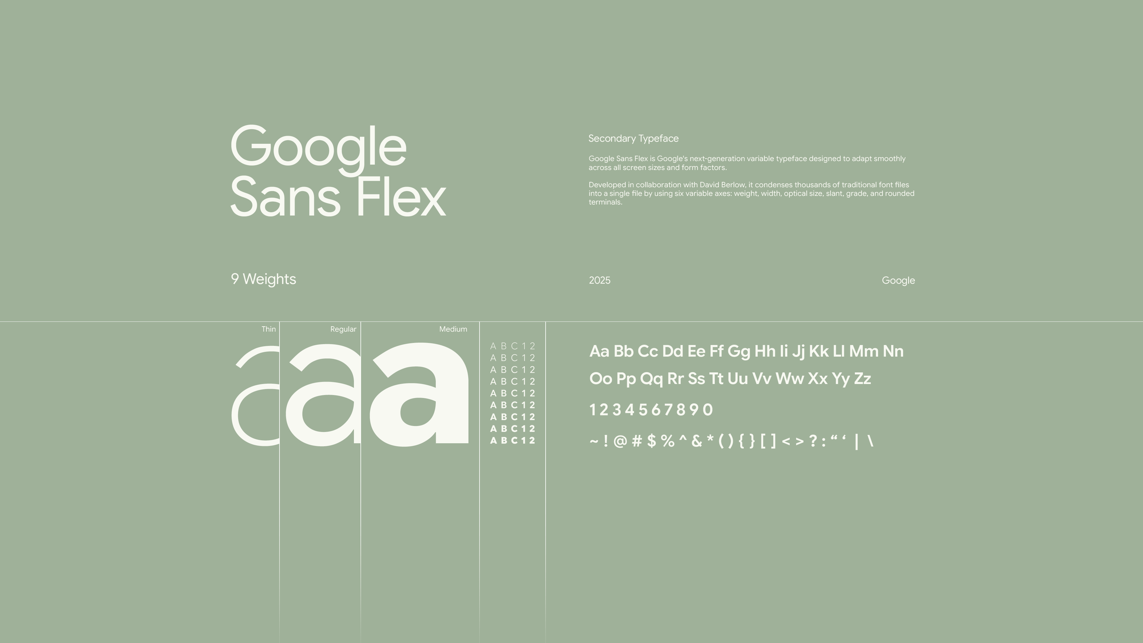 AEP_Type-Secondary_01v1