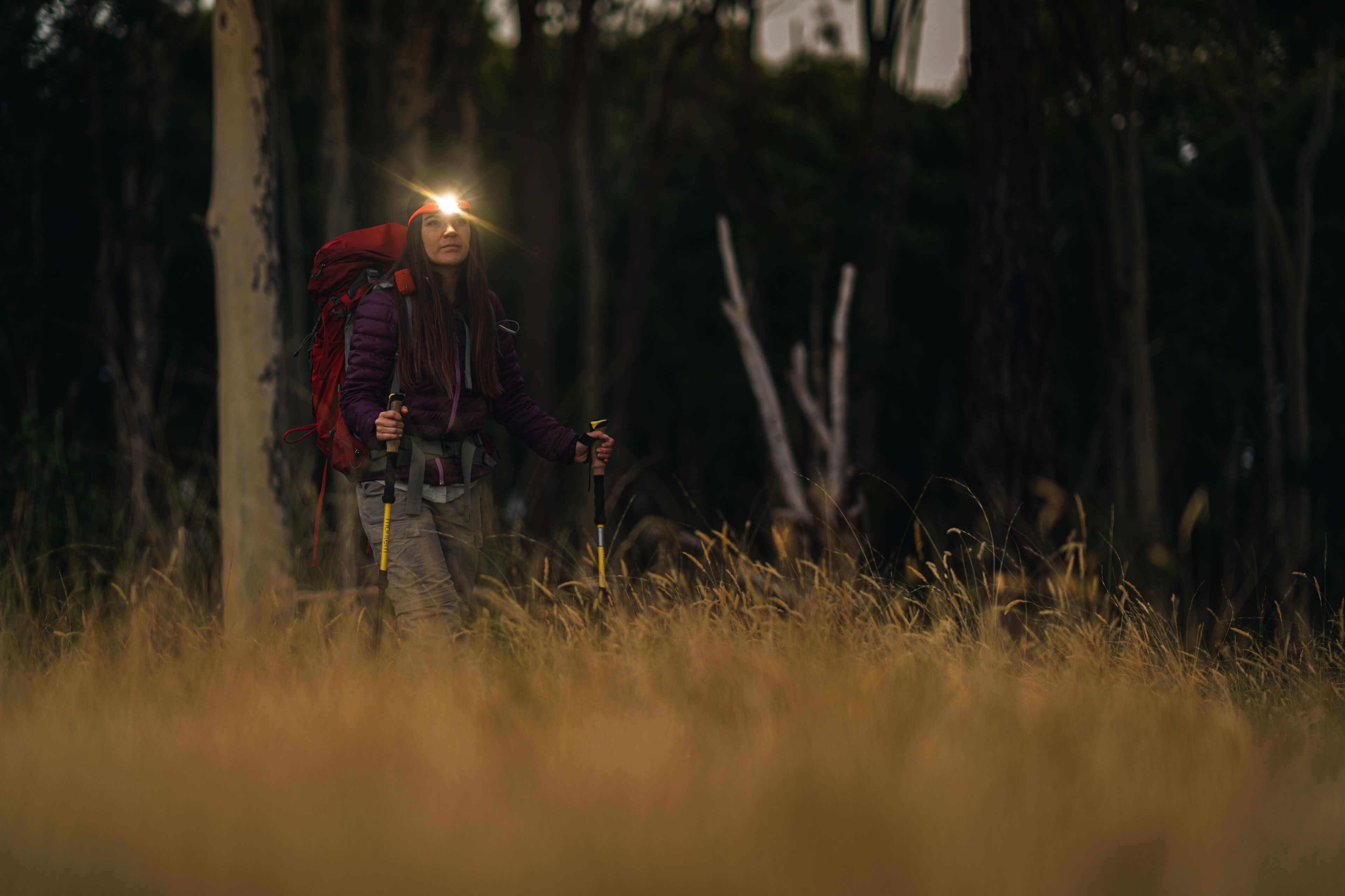 20150212_AB-A7RII_0239_Tiny