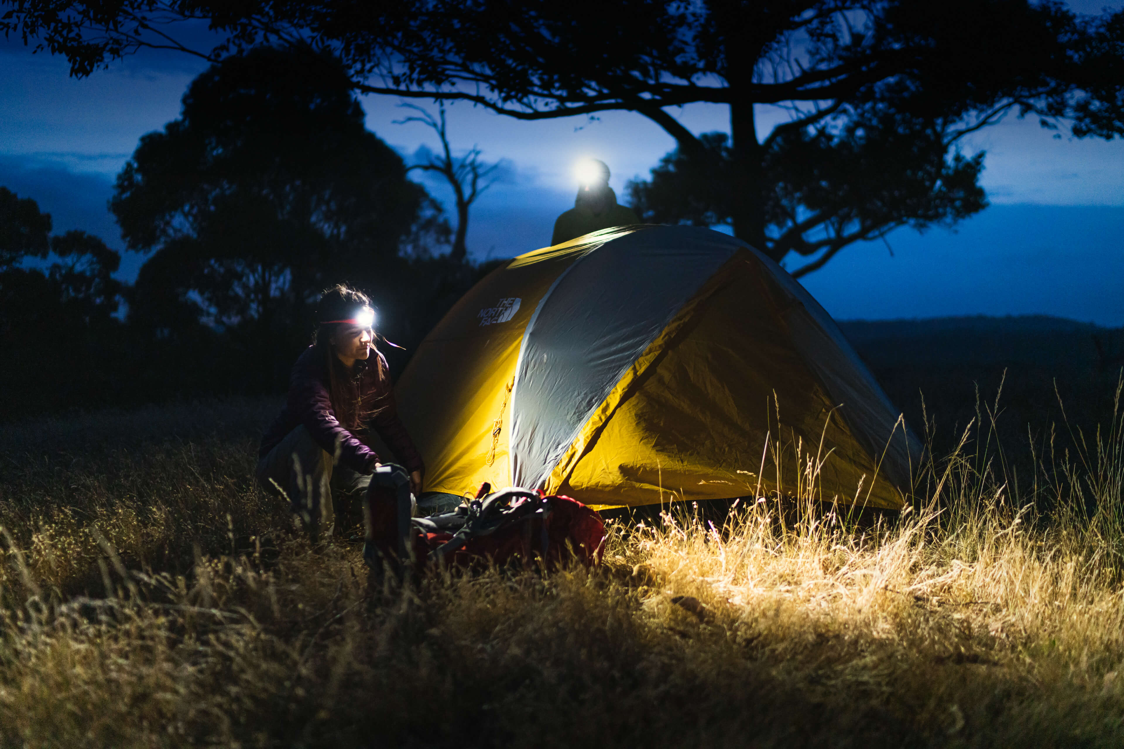 20150212_AB-A7RII_03082_Tiny